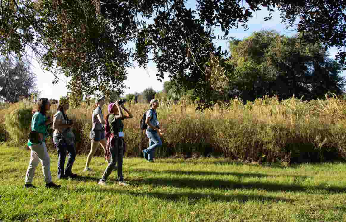 People birding in a green space.